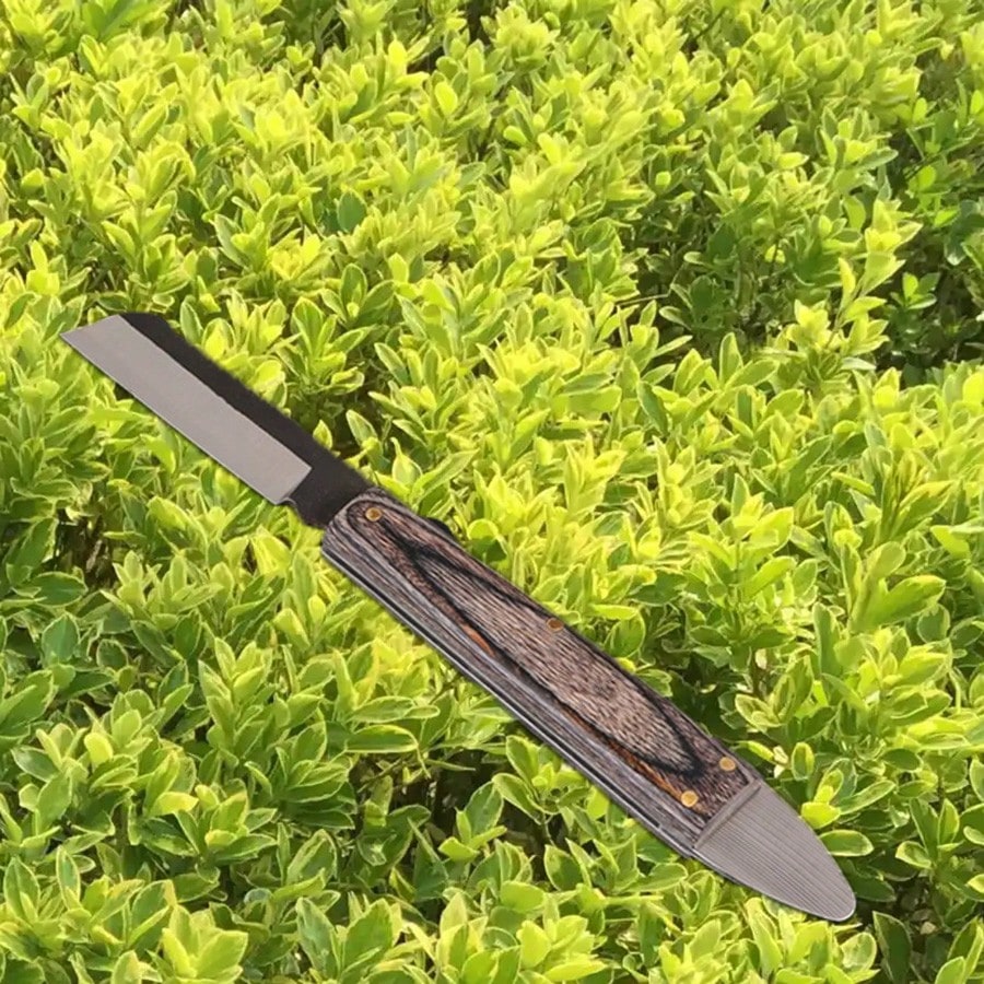 Archived product photograph