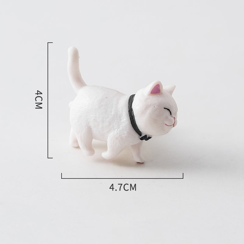 Archived product photograph