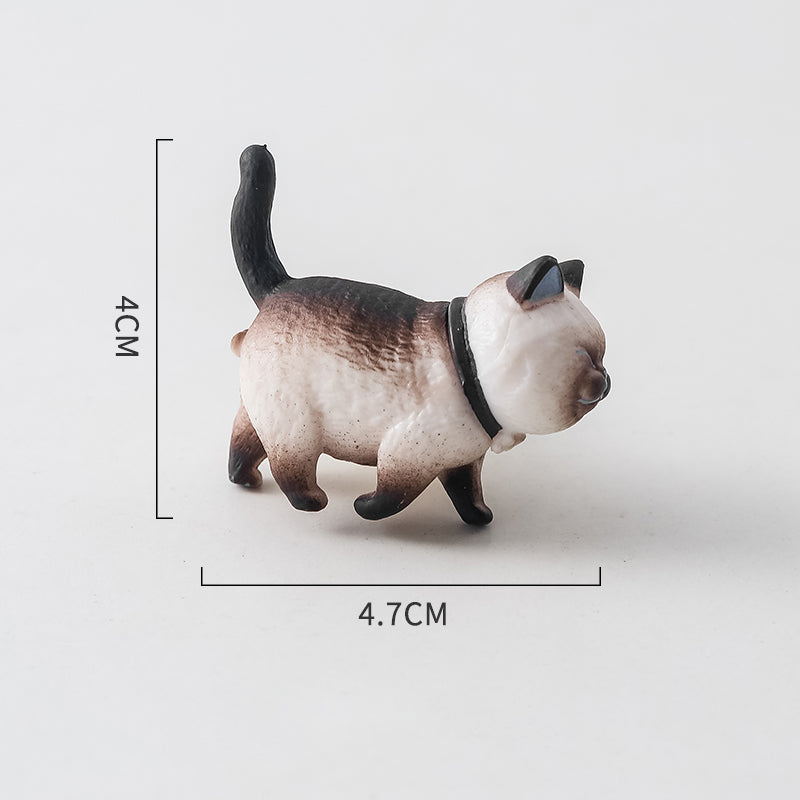 Archived product photograph