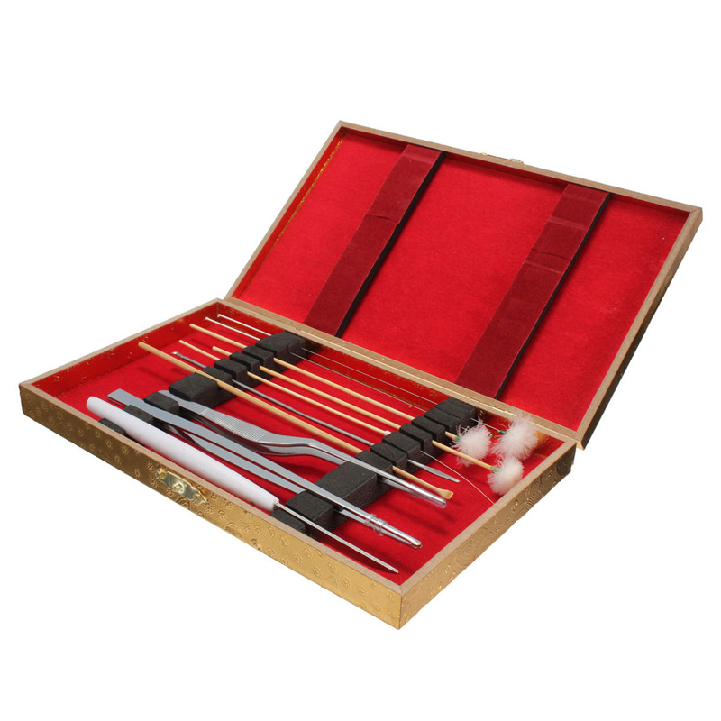 hign quality professional 10pcs ear pick ear wax remover cleaner health care tool curette kit cleaning set portable
