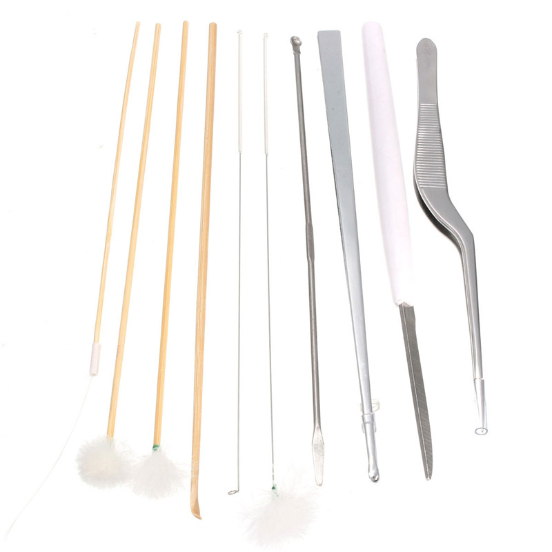 hign quality professional 10pcs ear pick ear wax remover cleaner health care tool curette kit cleaning set portable