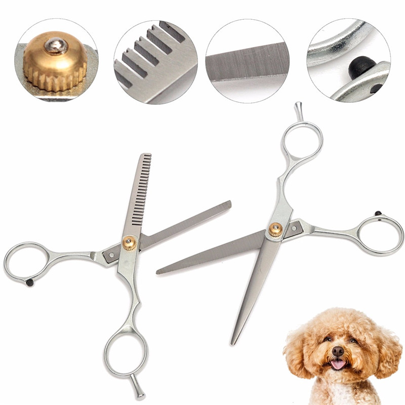 modern 2pcs professional pet dog cat grooming hair cutting thinning set scissors pet shears hairdressing comb set modern 2pcs professional pet dog cat grooming hair cutting thinning set scissors pet shears hairdressing comb set