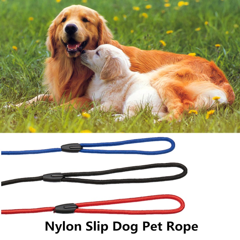 pet product nylon slip rope walk the dog pet lead dog pet leash soft strong working training 3 colors