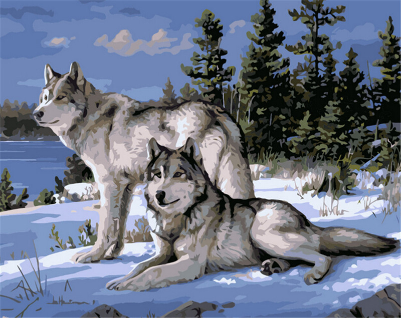 frameless picture on canvas acrylic paint by numbers diy oil painting by numbers christmas gift coloring by numbers wolf animals frameless picture on canvas acrylic paint by numbers diy oil painting by numbers christmas gift coloring by numbers wolf animals