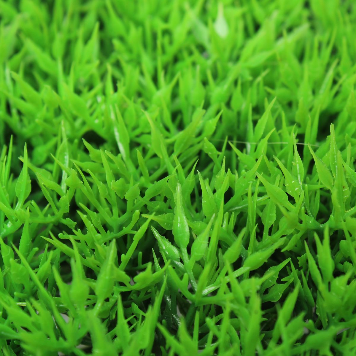 new 25x25x4.5cm aquarium artificial aquatic grass plants fish tank ornament plant decoration