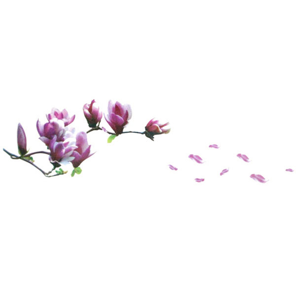 new fashionable diy wallpaper beautiful mangnolia flowers wall stickers beautiful home decor decoration removable art decals