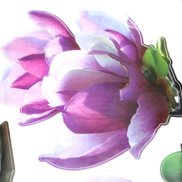new fashionable diy wallpaper beautiful mangnolia flowers wall stickers beautiful home decor decoration removable art decals