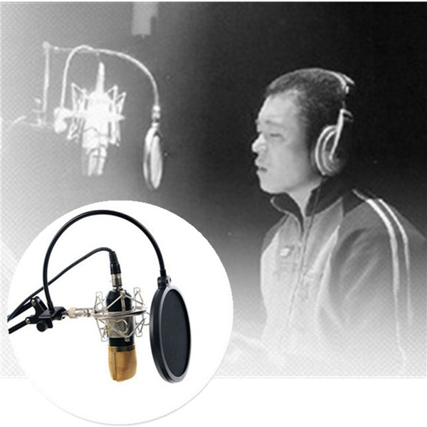 double layer studio speaking recording microphone mic wind screen mask gooseneck shield pop filter