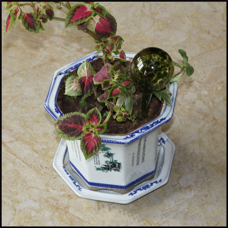 selling 70ml watering ball mini automatic plant watering glass bulbs home garden irrigation tools flower drip irrigation