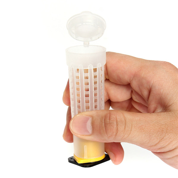 2015 new arrivals beekeeping queen bee hair roller cages w/ cell cup holder and cell fixtures