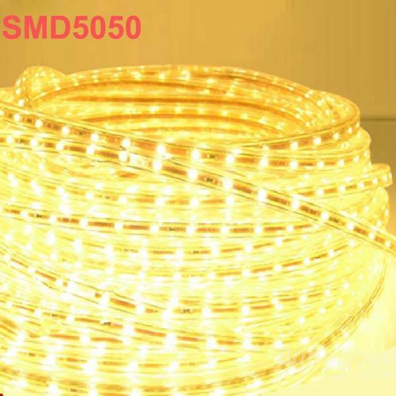 2015 new 5m 9.6w/m 300led smd 5050 led strip waterproof(ip66) 220v