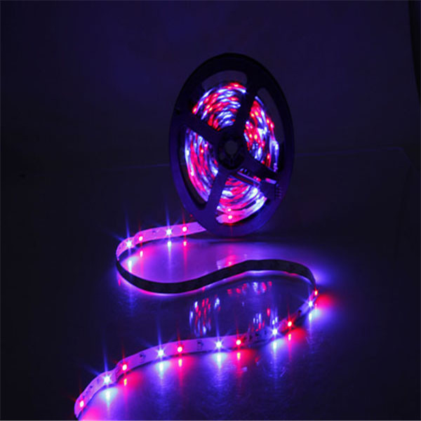 5m 300 led 5050 rgb smd 60led/m non waterproof flexible strip light tape dc12v with 44keys remote controller