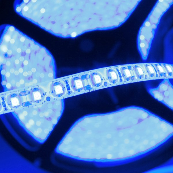 big promation high qaulity ip65 5m 3528 smd led strip light waterproof blue 600 led for dc 12v