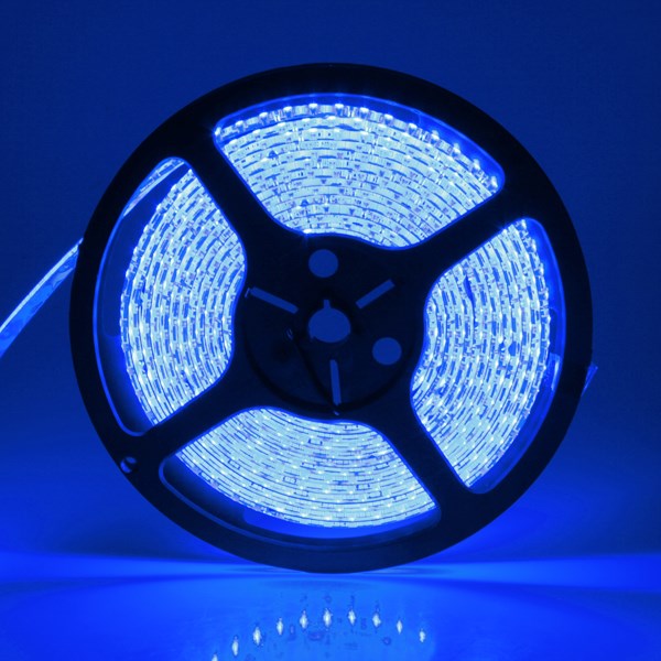 big promation high qaulity ip65 5m 3528 smd led strip light waterproof blue 600 led for dc 12v