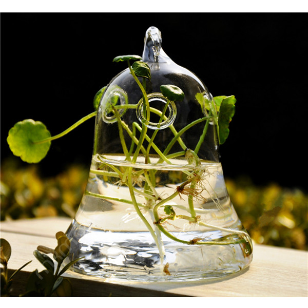 clear bell hanging glass flower plant vase hydroponic container pot home decor acid-base resistance and corrosion-resistance