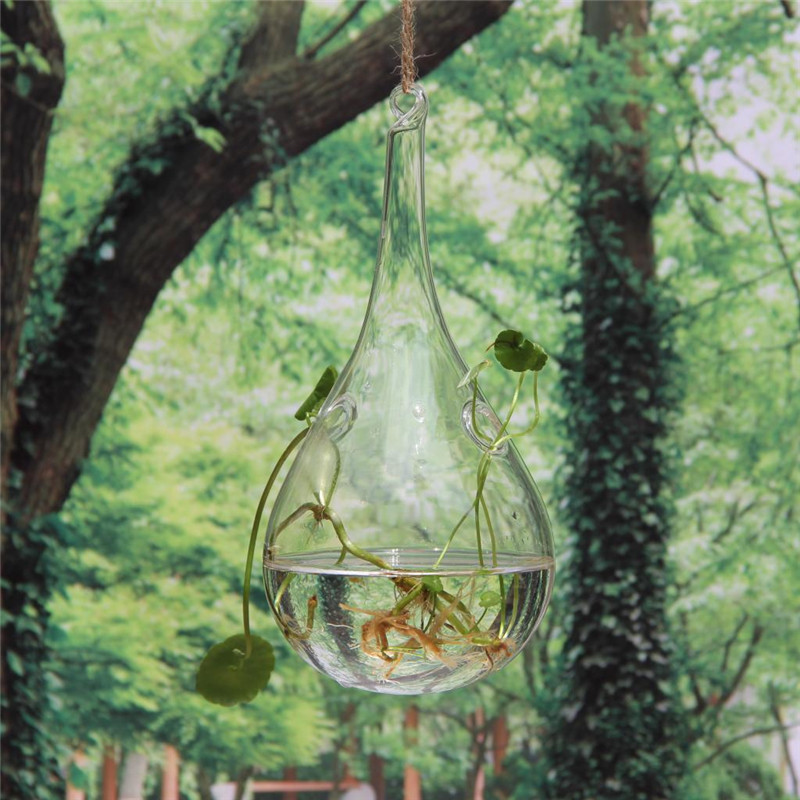 modern design clear hanging glass flower plant vase hydroponic container pot home garden decoration acid-base resistance modern design clear hanging glass flower plant vase hydroponic container pot home garden decoration acid-base resistance