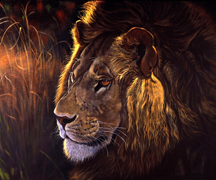whole lion oil painting hand painted oil painting on canvas home decoration home decorative art picture