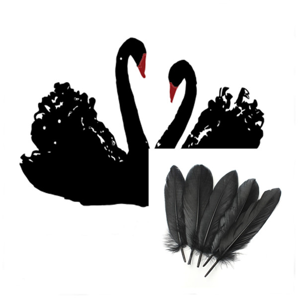 best promotion black 50pcs/lot natural feather goose 15-20cm for craft/ hats/floral arrangement material accessories