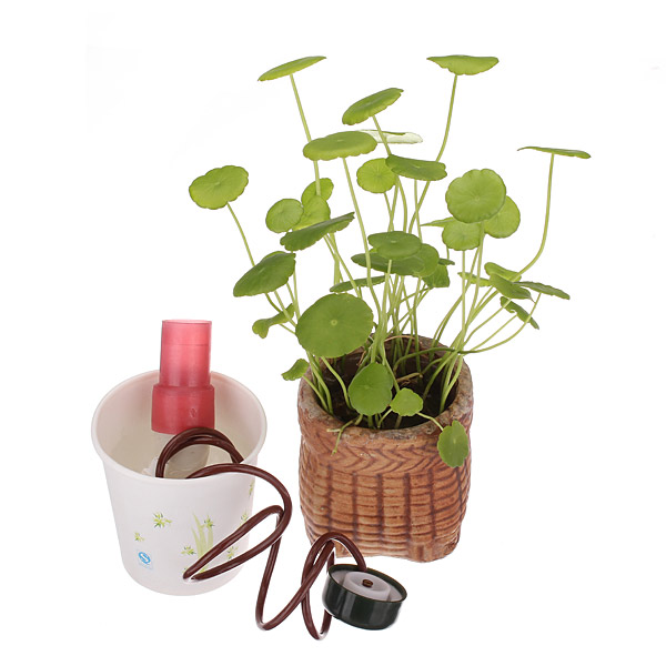 new 2pcs/lot self-watering automatic drip watering system tender seepage control waterer spike indoor houseplant plant