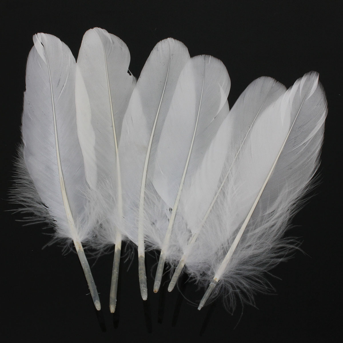 new arrival 50pcs/lot natural white feather goose 150-200mm decoration wedding diy material accessories